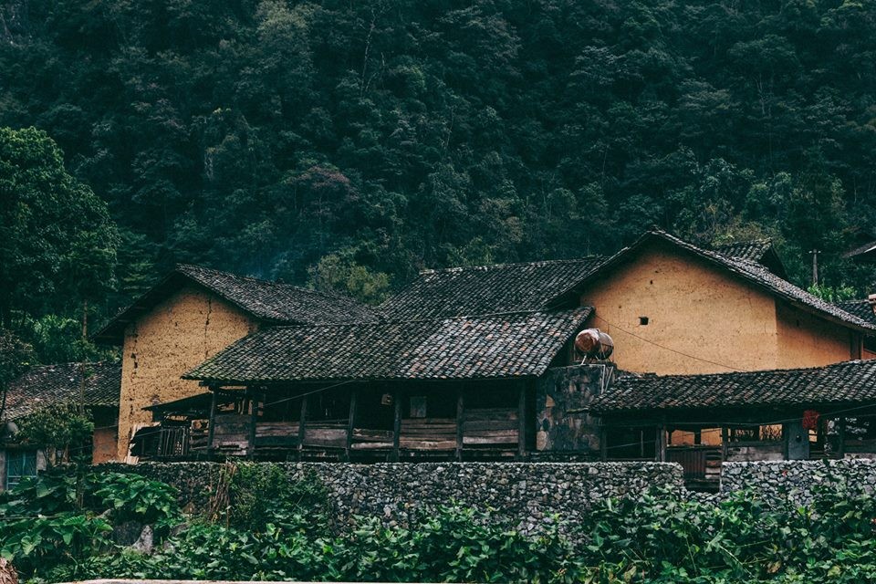 Mùa hoa cải trắng Hà Giang – Mùa hoa thương nhớ với nét mộc mạc, nên thơ 6