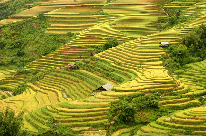 Review Hà Giang - Theo chân cặp đôi phát cẩu lương ầm ầm ở cao nguyên đá 7