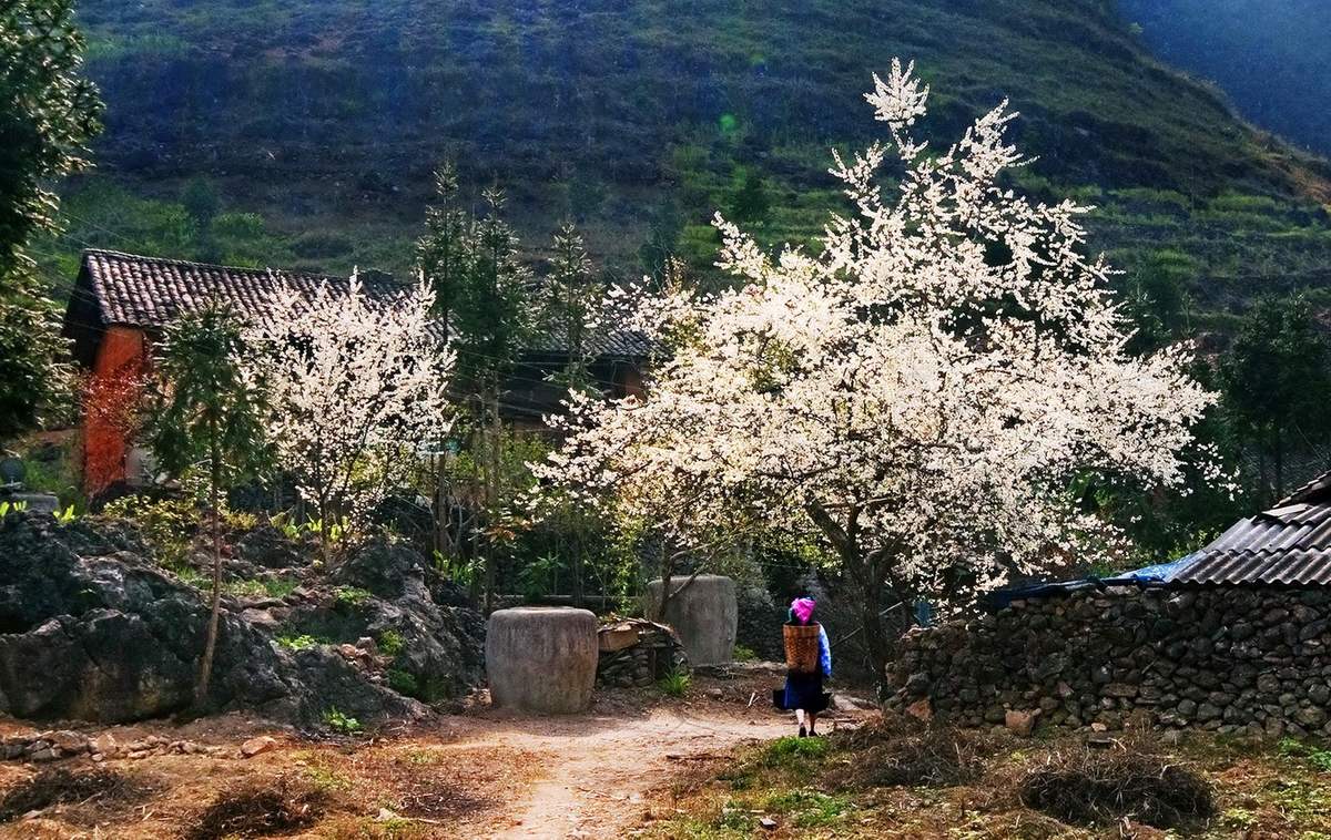 Đến Hà Giang khám phá Công viên địa chất toàn cầu Cao nguyên đá Đồng Văn 4