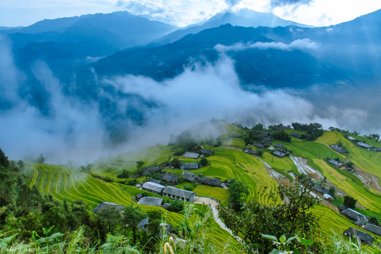 Review mùa vàng Hà Giang đẹp ngỡ ngàng tựa tranh vẽ 3