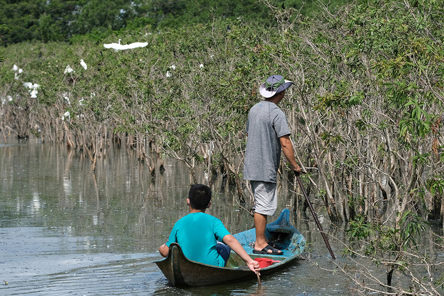 Khám phá Vườn Cò Tư Sự với vẻ đẹp thiên nhiên thanh bình, êm ả 6