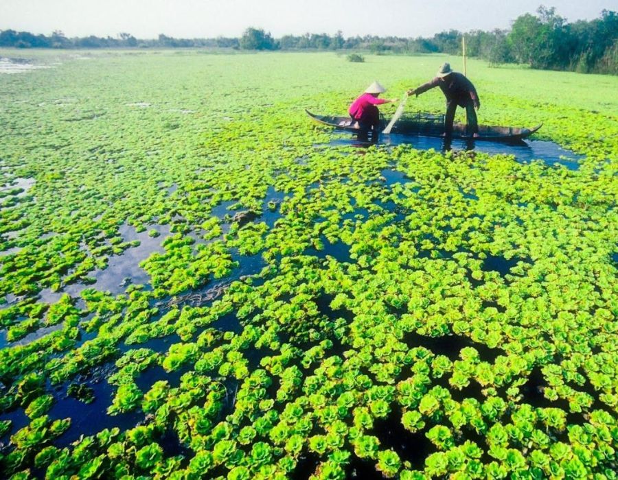 Lưu ngay cẩm nang khám phá Cà Mau chi tiết cực hấp dẫn 2