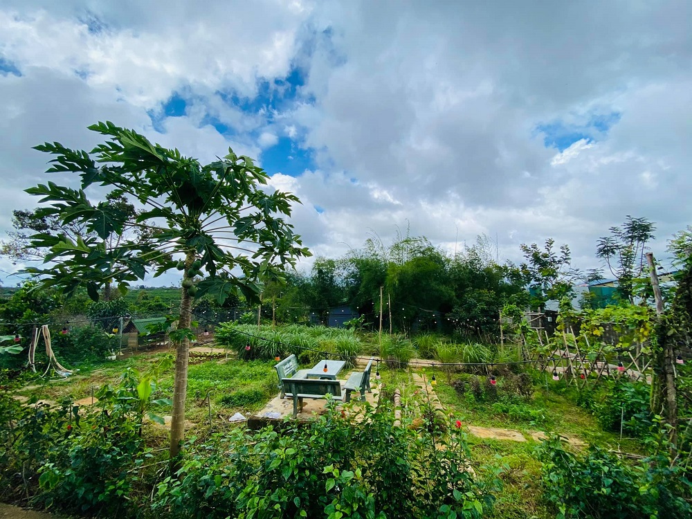 Lạc vào Vintage Garden