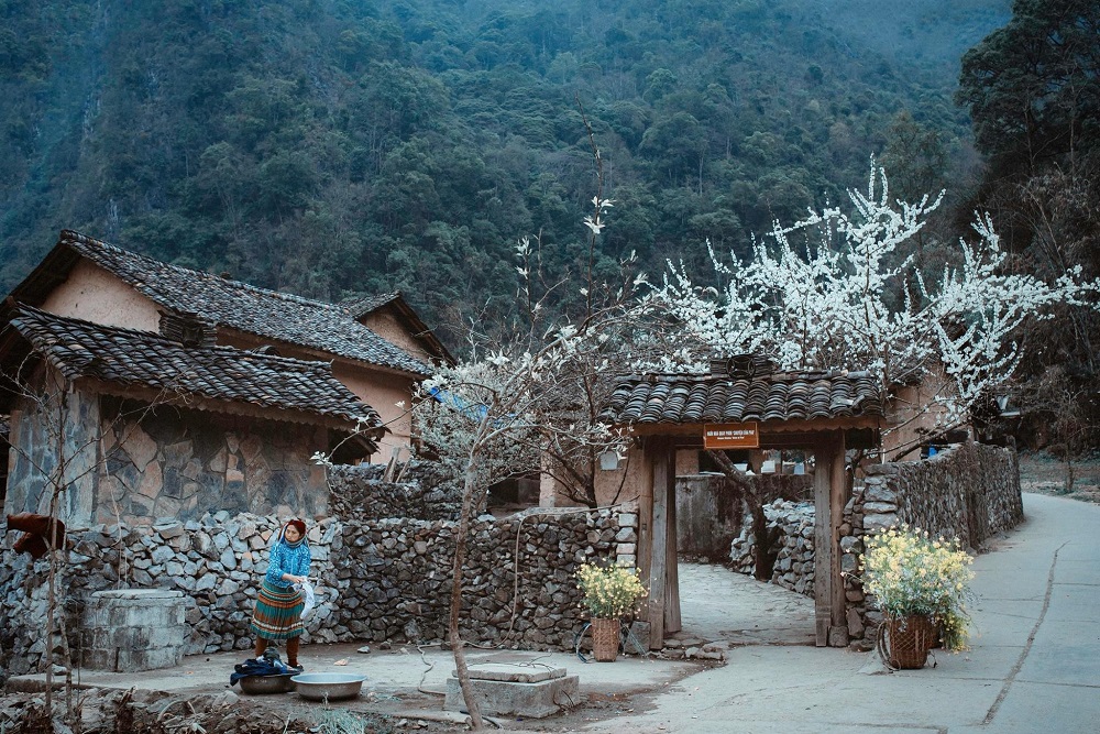 Ghé thăm Nhà của Pao - Chốn bình yên giữa lòng cao nguyên đá 2