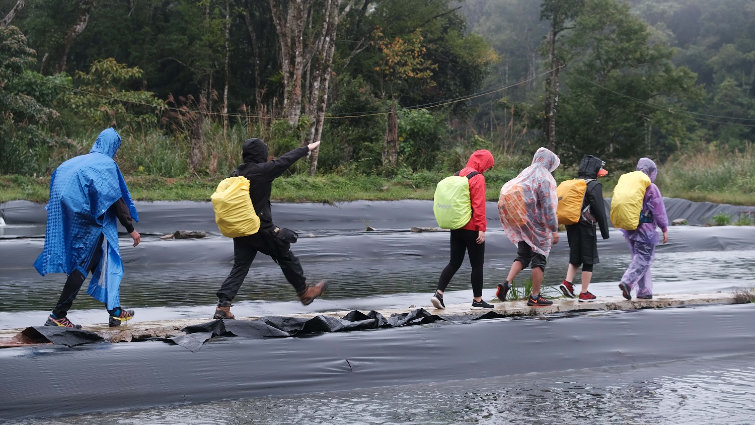 Trekking Bù Gia Mập trải nghiệm thú vị giữa phong cảnh hùng vĩ của thiên nhiên 3