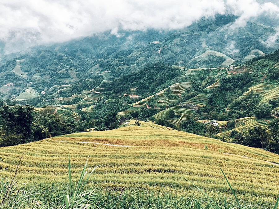 Chinh phục Hà Giang, hành trình khám phá tuyệt tác nơi địa đầu Tổ quốc 7