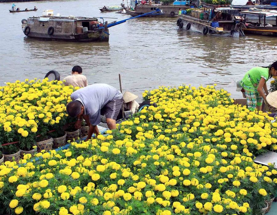 Đi Cà Mau mùa nào đẹp, cùng tìm hiểu ngay với Chiasene.com 4