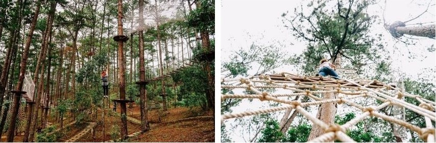 Thử thách bản thân tại Datanla High Rope Course với trò đu dây zipline thú vị 9