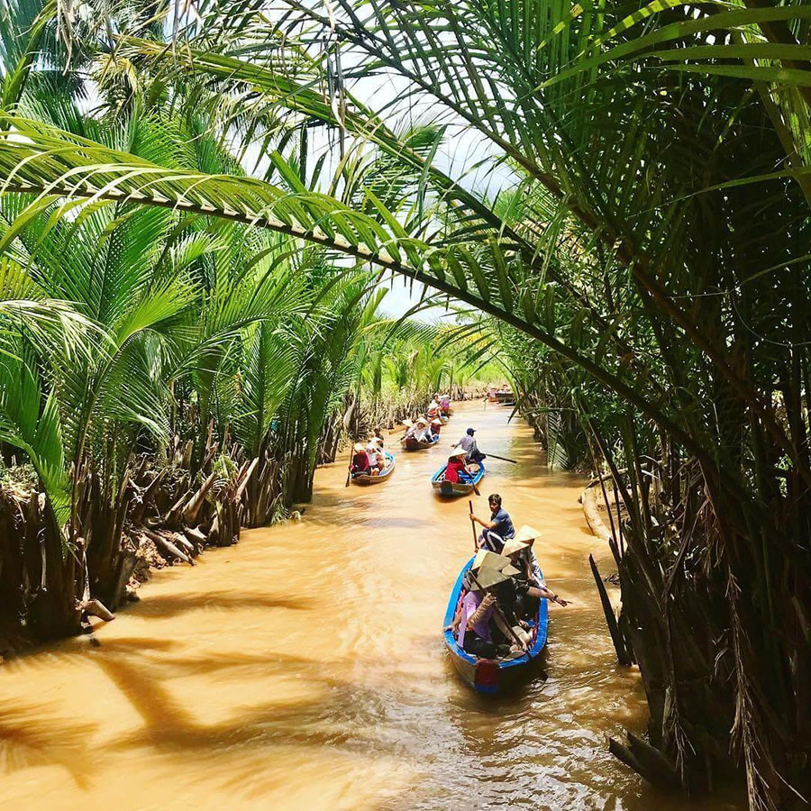 Có nên đi tour Bến Tre 1 ngày và những kinh nghiệm bạn cần biết 3