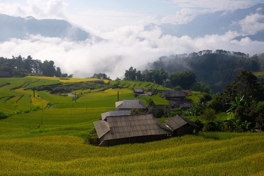 Mùa vàng Hoàng Su Phì cực lãng mạn trong từng bức ảnh của bạn Thu Hương 4