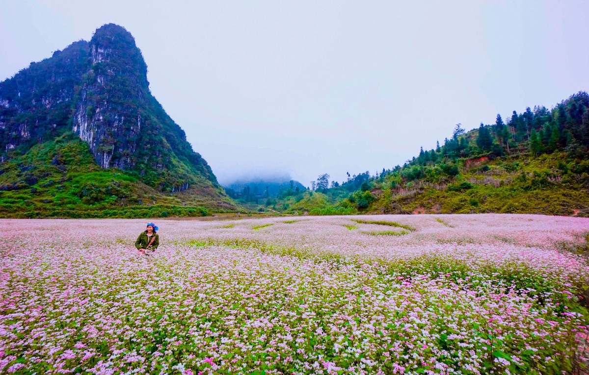 Kinh nghiệm đi du lịch Hoàng Su Phì - Hà Giang tự túc bạn nhất định phải biết 6