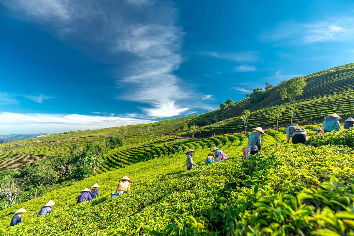 Chia sẻ cực có tâm kinh nghiệm đi Đà Lạt từ Sài Gòn 18