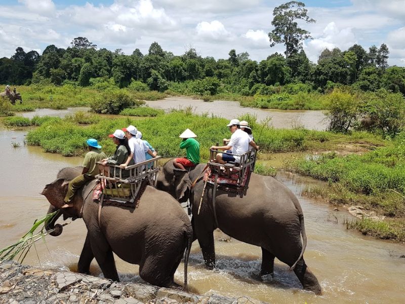 Mộ vua voi Bản Đôn, bí ẩn về người anh hùng của Tây Nguyên 7