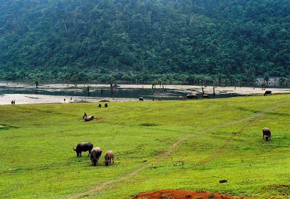 Hồ Noong - Chốn bồng lai giữa lòng Hà Giang 10