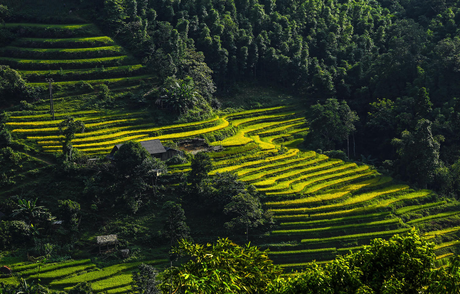 Kinh nghiệm đi Hà Giang mùa nào đẹp nhất trong năm? 7