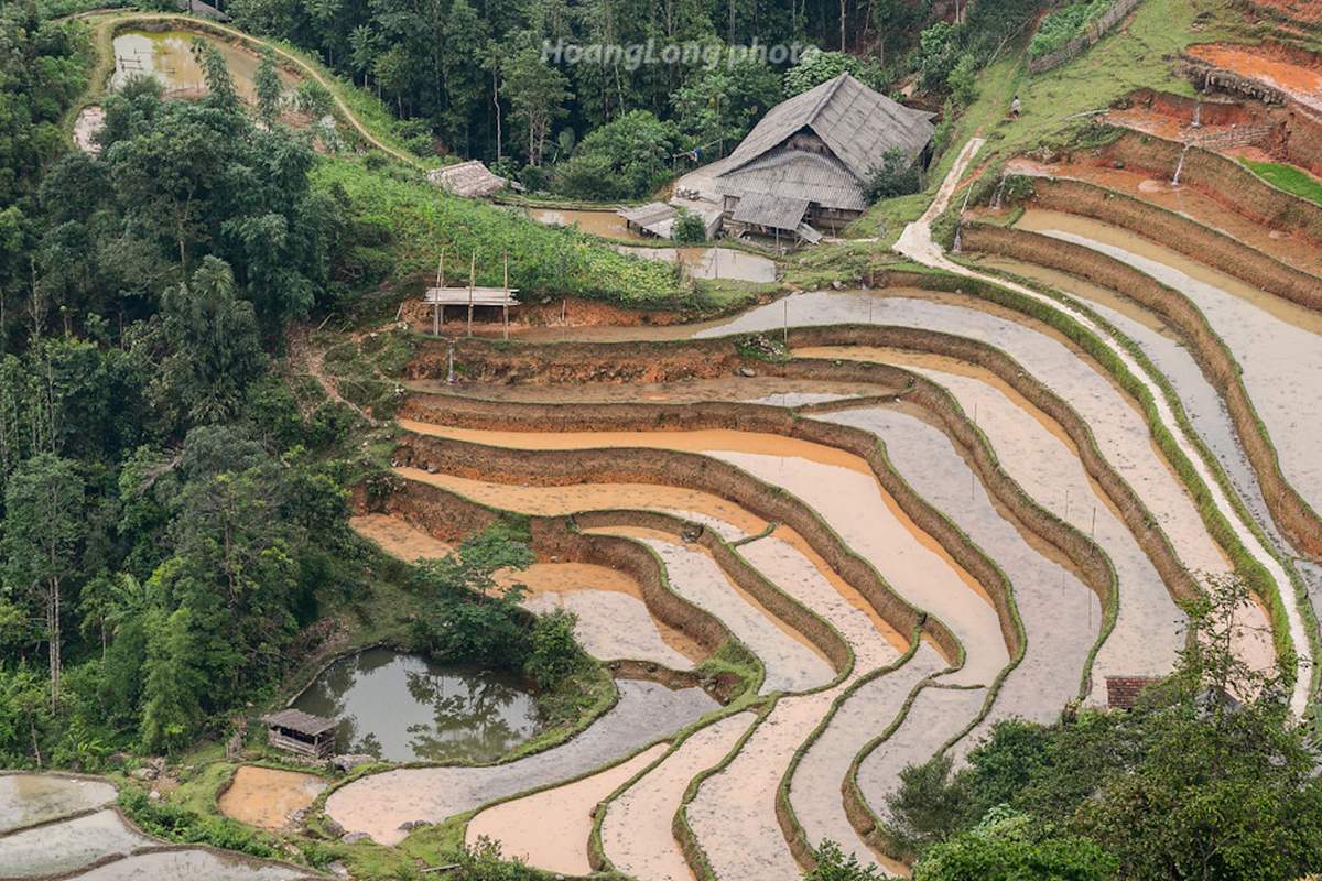 Về Nậm Ty mùa lúa chín tại Hoàng Su Phì 5