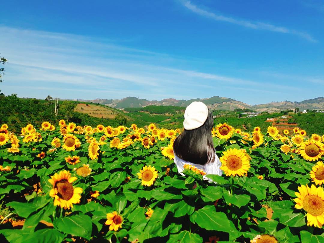 Tháng Sáu đi Đà Lạt chơi gì để nâng tầm trải nghiệm thành phố ngàn hoa qua lăng kính tháng Sáu 11