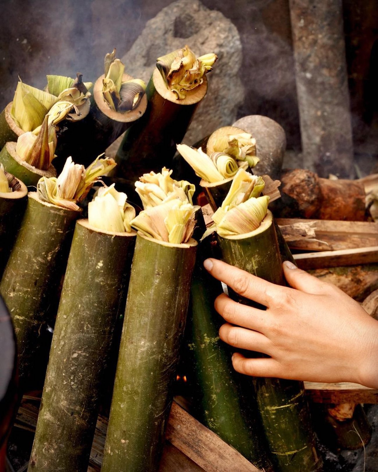 Cơm lam Bắc Mê – Món ngon giản dị của vùng cao Đông Bắc 4