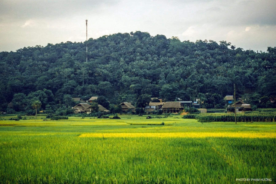 Làng quê Hà Giang yên bình vào mỗi buổi chiều trên cao nguyên đá 11