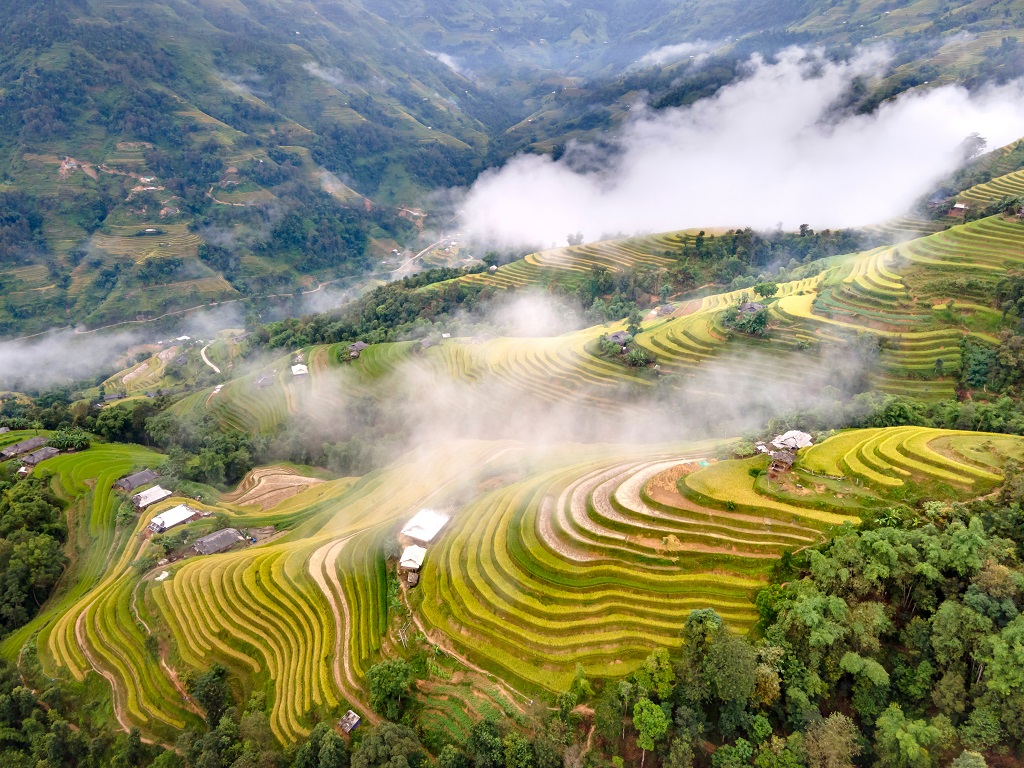 Kinh nghiệm du lịch Hà Giang tự túc vào tháng 9 - Mùa lúa chín trên rẻo cao 6