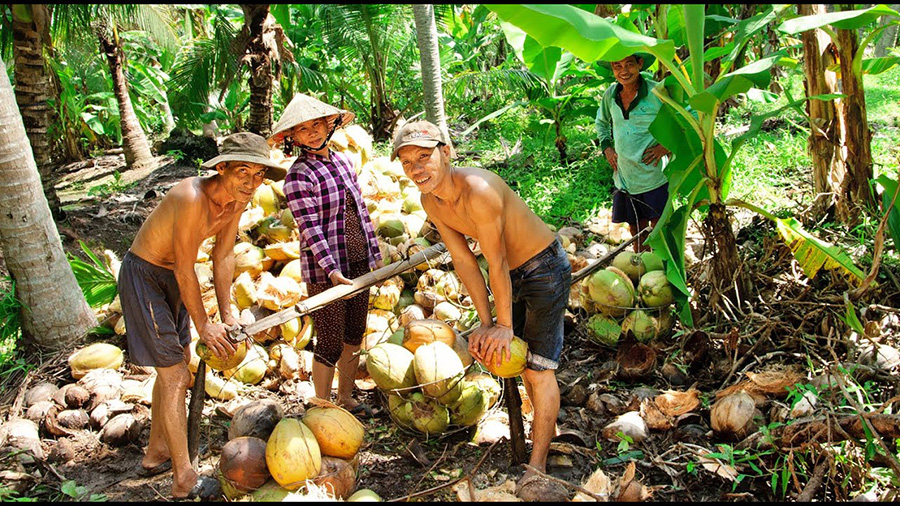 Sản phẩm làm từ dừa tại Bến Tre và những kinh nghiệm cần bỏ túi 8