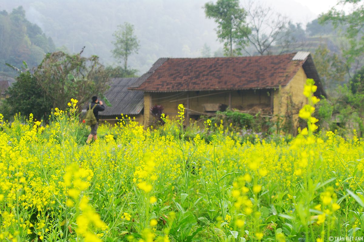 Khám phá nét đẹp văn hóa vùng cao tại Chợ Quyết Tiến Hà Giang 5