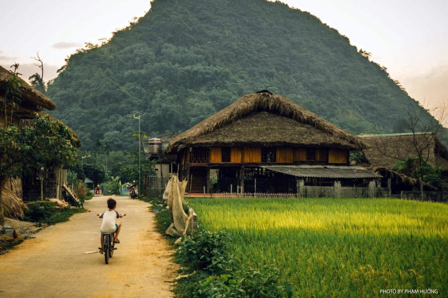 Làng quê Hà Giang yên bình vào mỗi buổi chiều trên cao nguyên đá 12