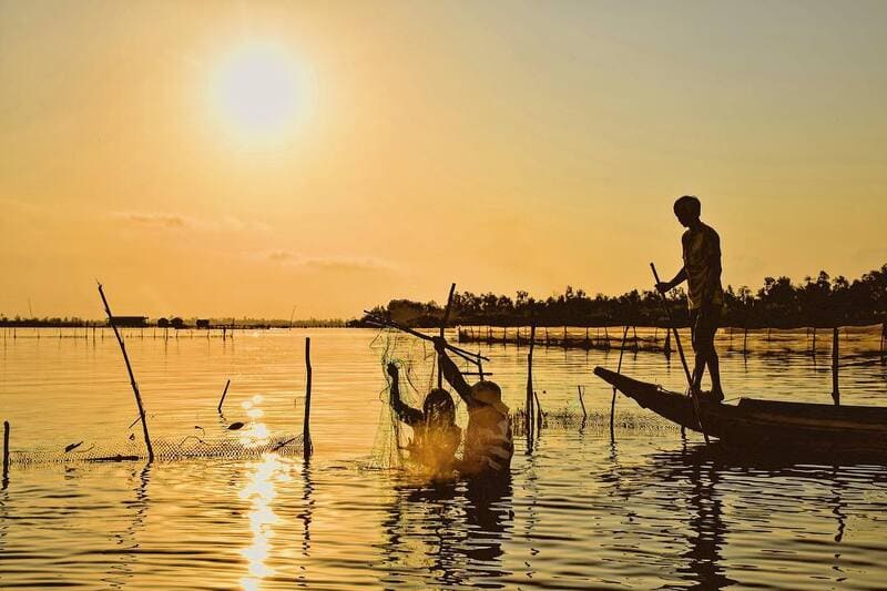 Khám phá du lịch Cà Mau có gì chơi cùng những địa điểm tham quan thú vị 9