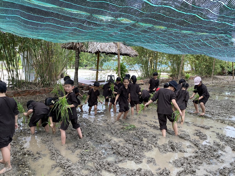 Làng du lịch Tre Việt Đồng Nai, chốn tụ hội lý tưởng cuối tuần 14