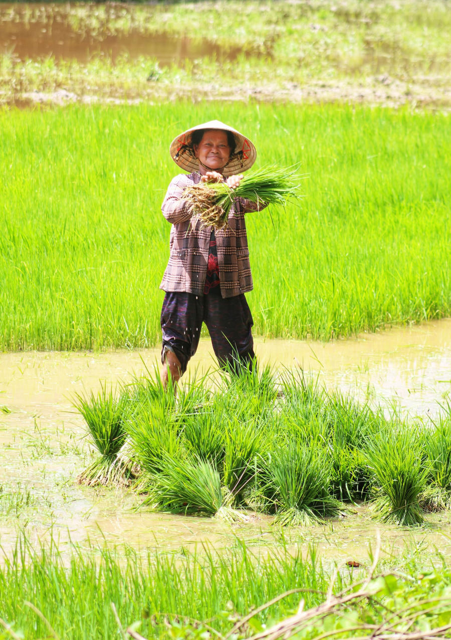 Lang thang Bảy Núi An Giang tìm về một miền quê thanh bình 9