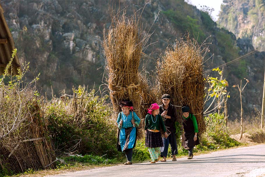 Chia sẻ kinh nghiệm đi du lịch Yên Minh - Hà Giang tự túc 4