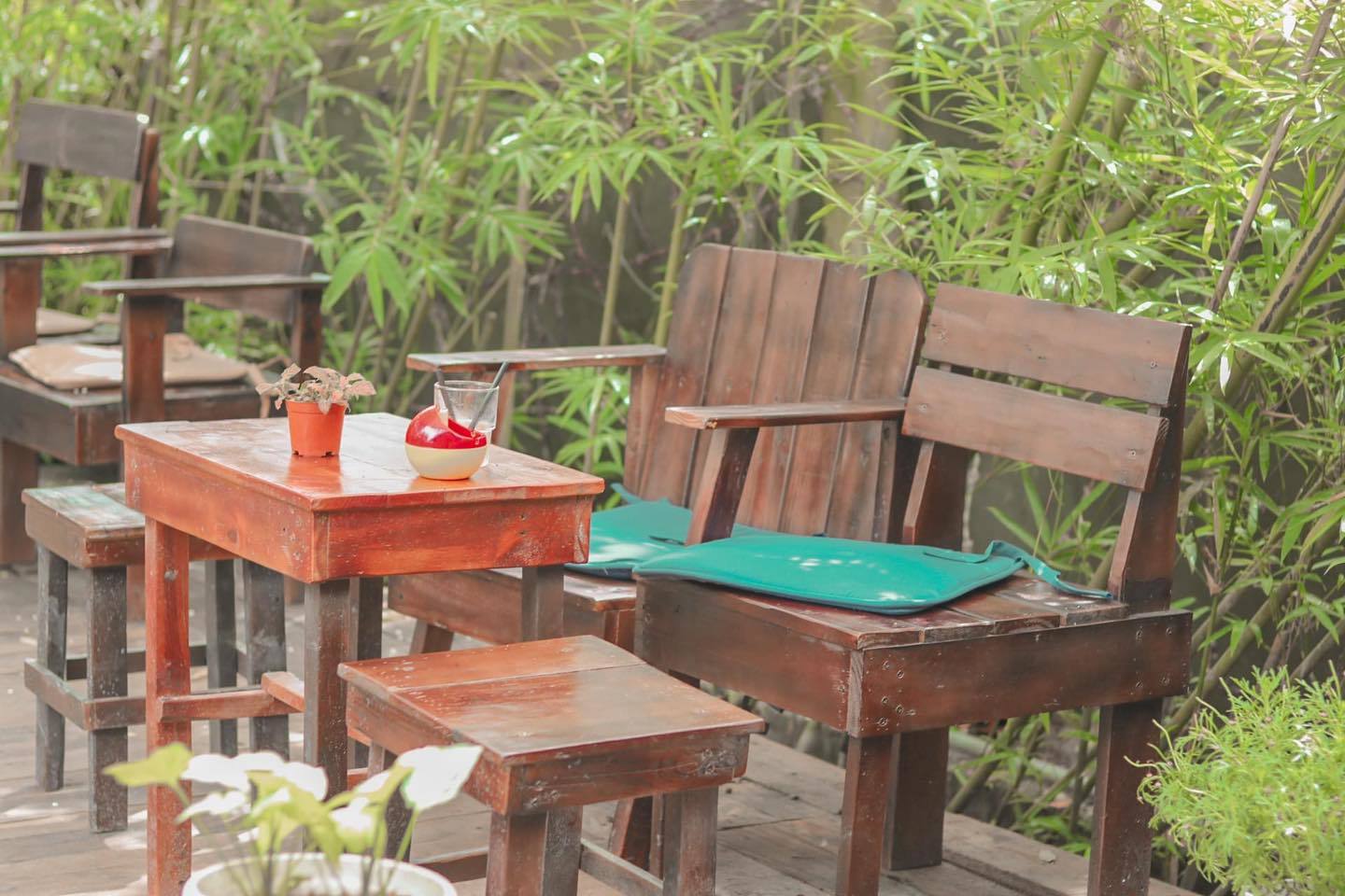 Đi trốn đến Cafe Họa Mi bình yên giữa lòng thành phố 10