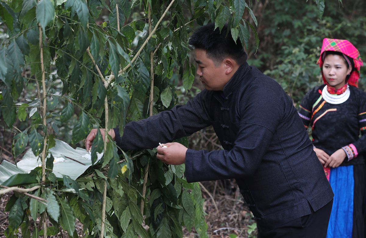 Lễ cúng Thần Rừng - Lễ hội độc đáo tại Hà Giang của người Pu Péo 3