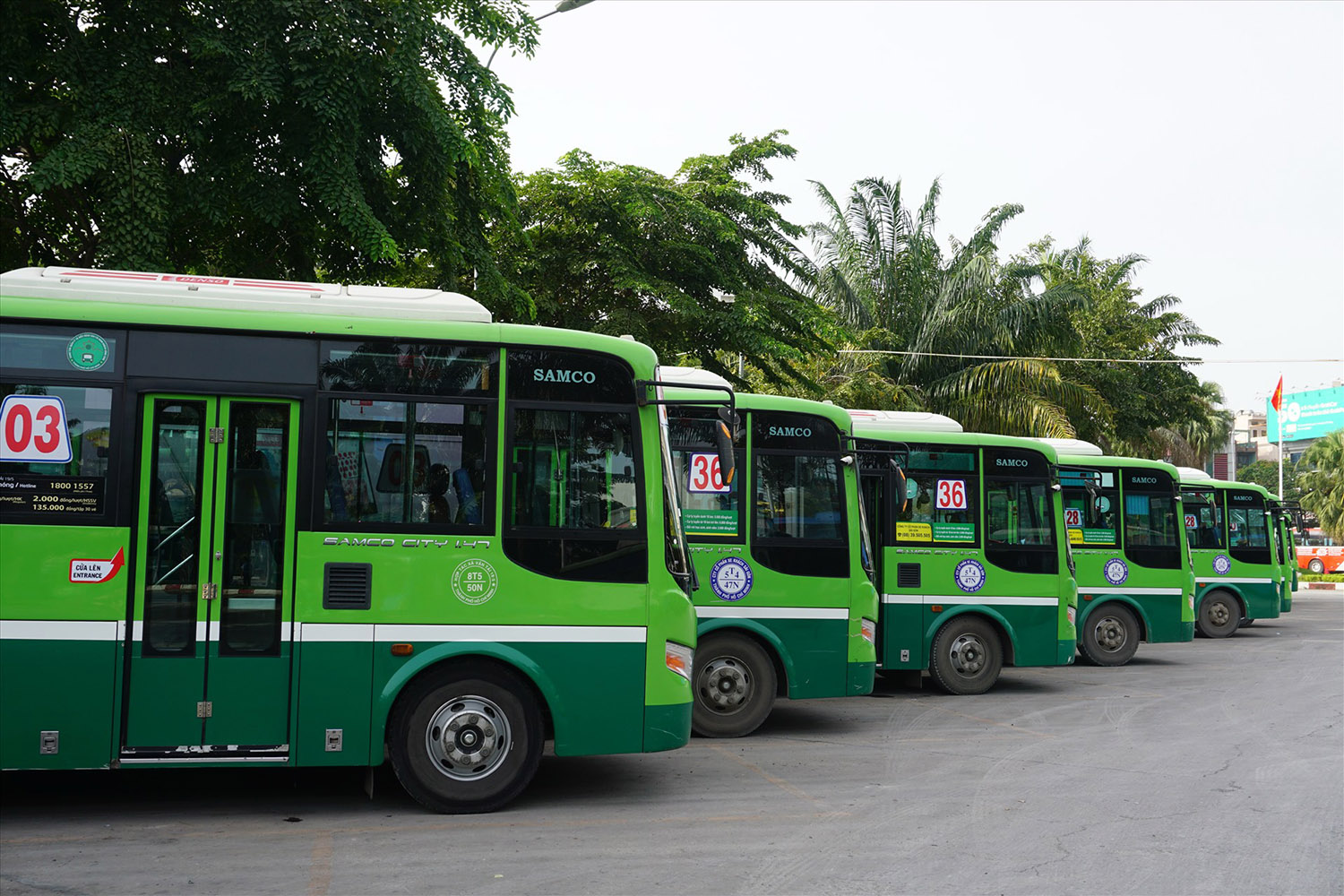 Kinh nghiệm khám phá vườn trái cây Lái Thiêu từ A-Z 4