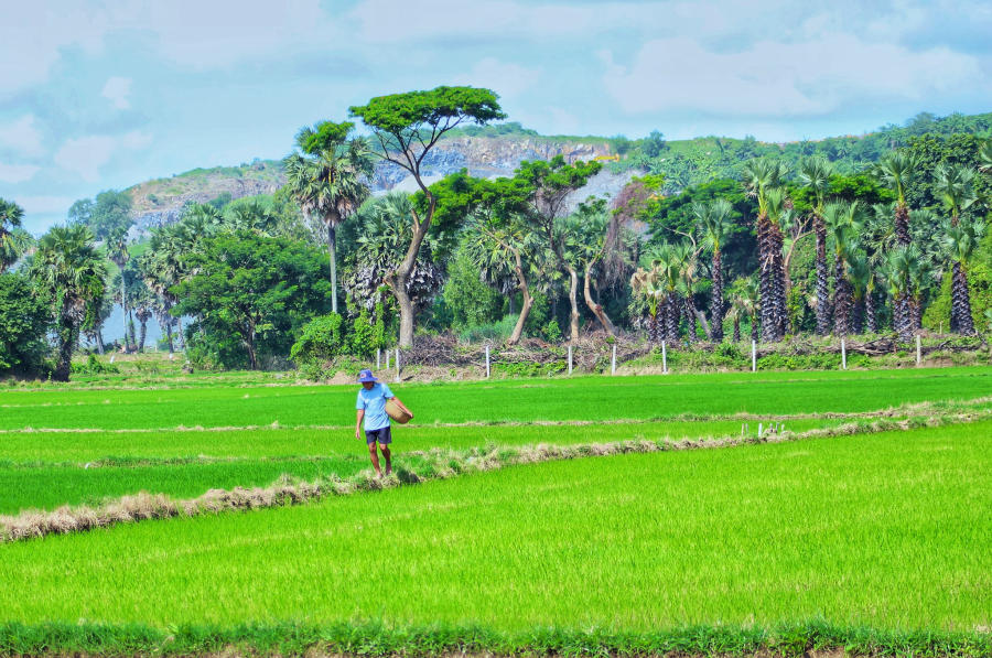 Lang thang Bảy Núi An Giang tìm về một miền quê thanh bình 5