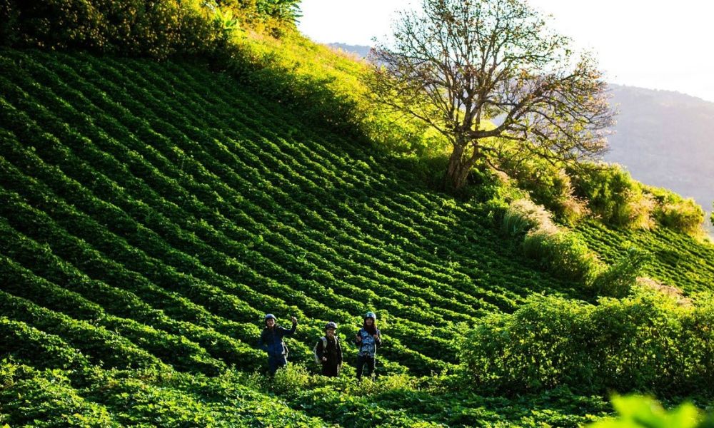 Khám phá Biển Hồ Chè giữa lòng cao nguyên rộng lớn 4