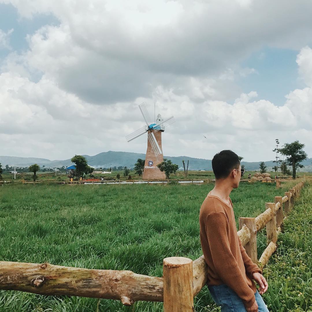 Dalat Milk Farm - Nông trại bò sữa nổi tiếng với cảnh sắc thiên nhiên thơ mộng 4