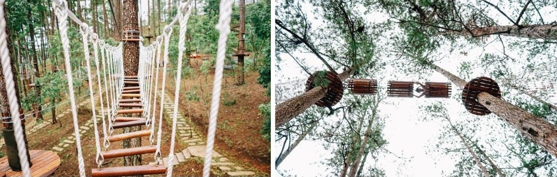 Thử thách bản thân tại Datanla High Rope Course với trò đu dây zipline thú vị 6