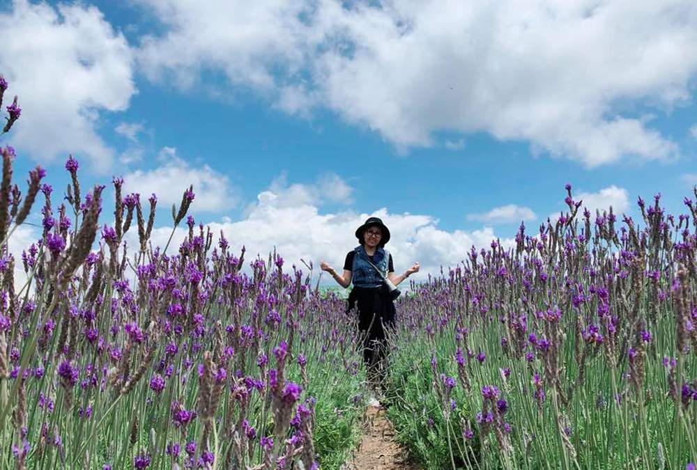 Lạc vào tiên cảnh với khu du lịch Lavender Đà Lạt 10