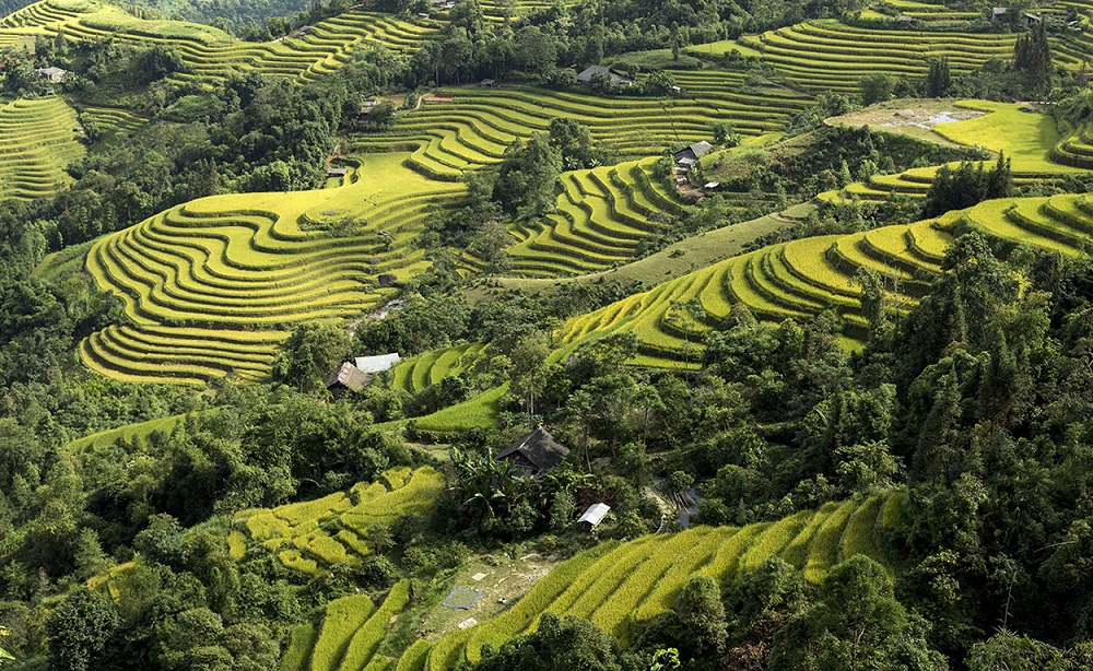 Di sản ruộng bậc thang Hoàng Su Phì - Kiệt tác đất Hà Giang 2