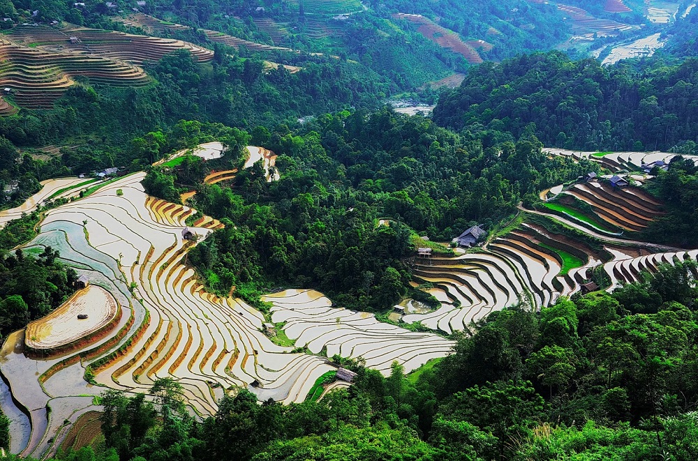 Khám phá Hoàng Su Phì mùa nước đổ với cảnh sắc thiên nhiên tuyệt đẹp 2