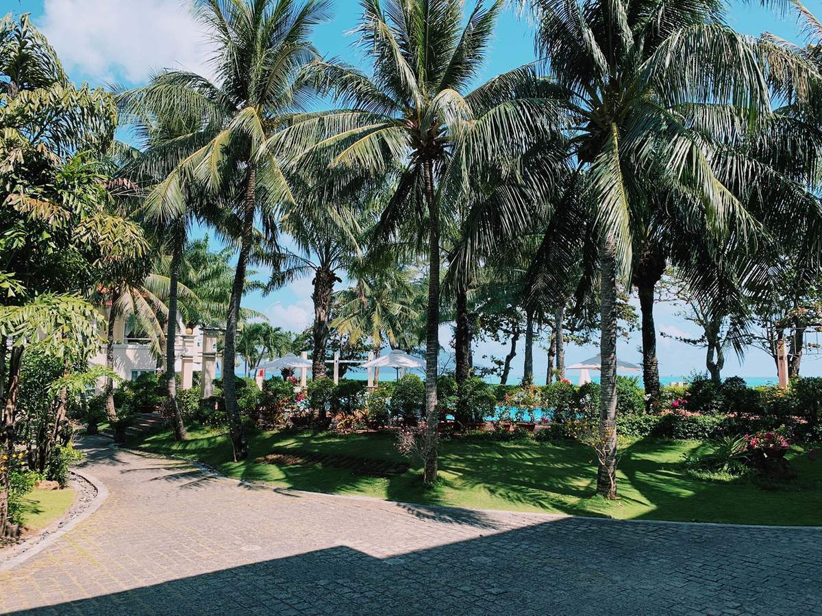 Review Côn Đảo xinh đẹp qua bộ ảnh đầy chất thơ của Đoàn Ngọc Nhi 8