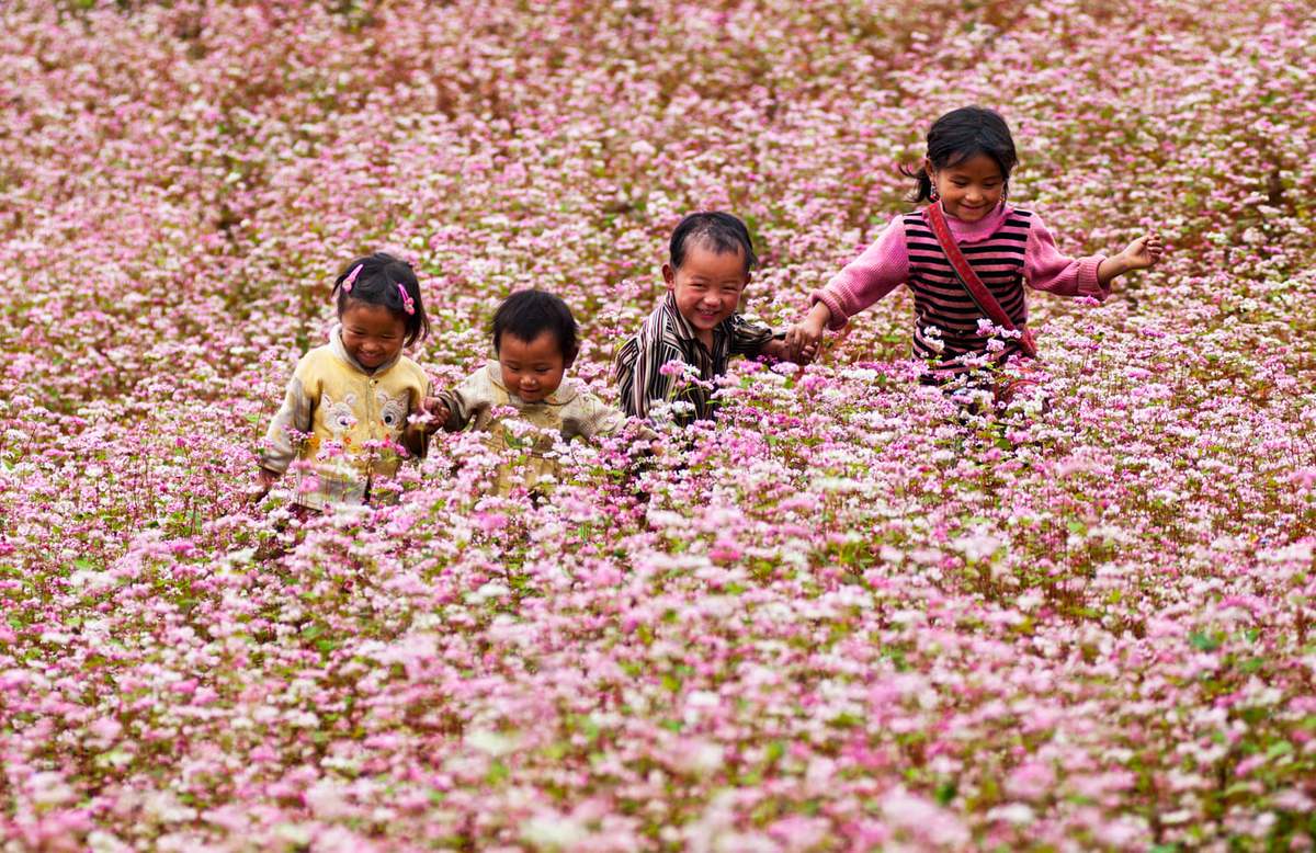 Đến Hà Giang khám phá Công viên địa chất toàn cầu Cao nguyên đá Đồng Văn 5