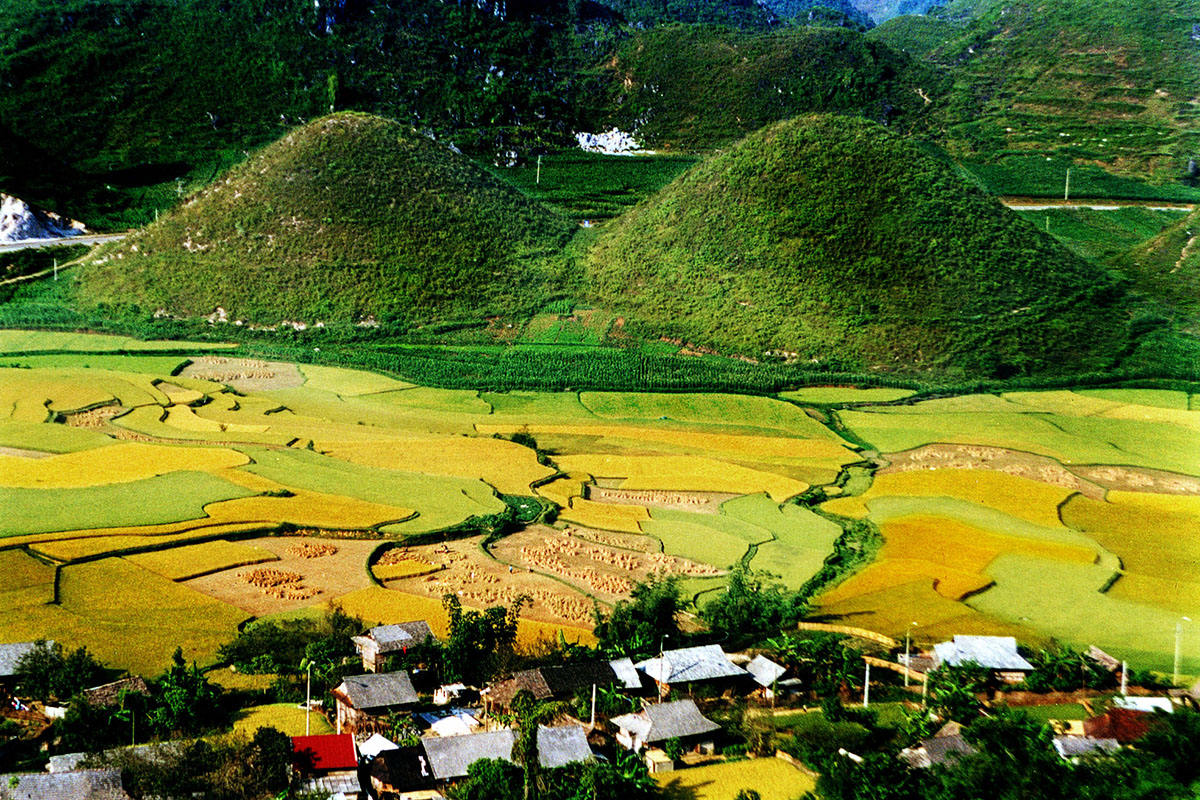 Kinh nghiệm du lịch Hà Giang tự túc vào tháng 9 - Mùa lúa chín trên rẻo cao 7