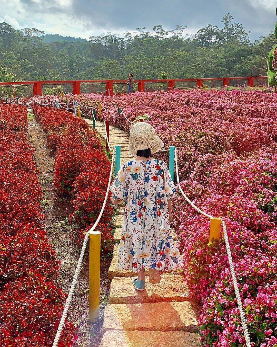 Làng hoa Vạn Thành - Lạc vào vườn địa đường chốn Đà Lạt mộng mơ 5