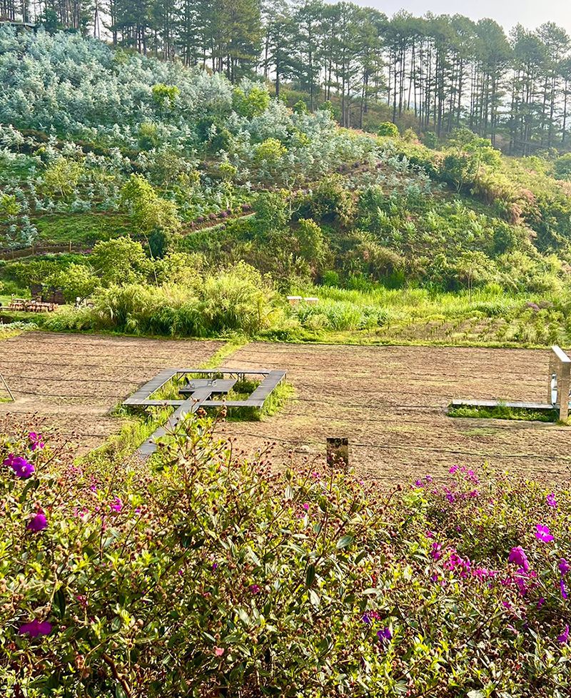 Tiệm Cà Phê Trong Rừng, điểm đến lý tưởng cho những ai tìm sự an yên 9