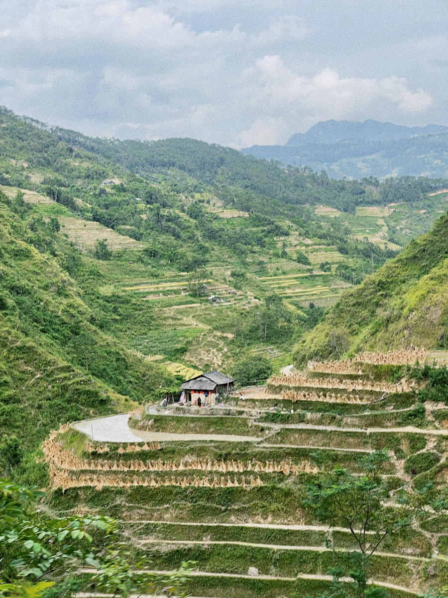 Khám phá Hà Giang thật đẹp cùng gia đình nhỏ 8