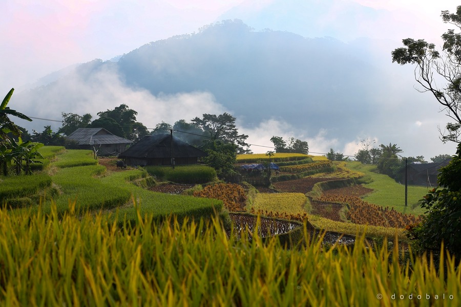 Lạc vào Bản Phùng, chốn tiên cảnh với vẻ đẹp say đắm lòng người 7