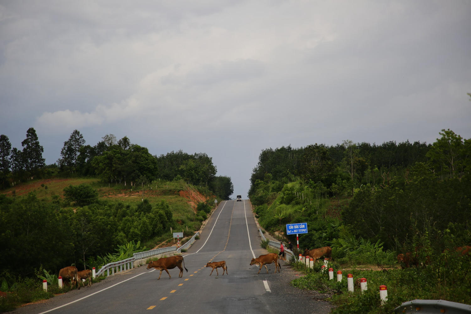 Dạo quanh Biển hồ Pleiku hòa mình vào thiên nhiên trong lành 5