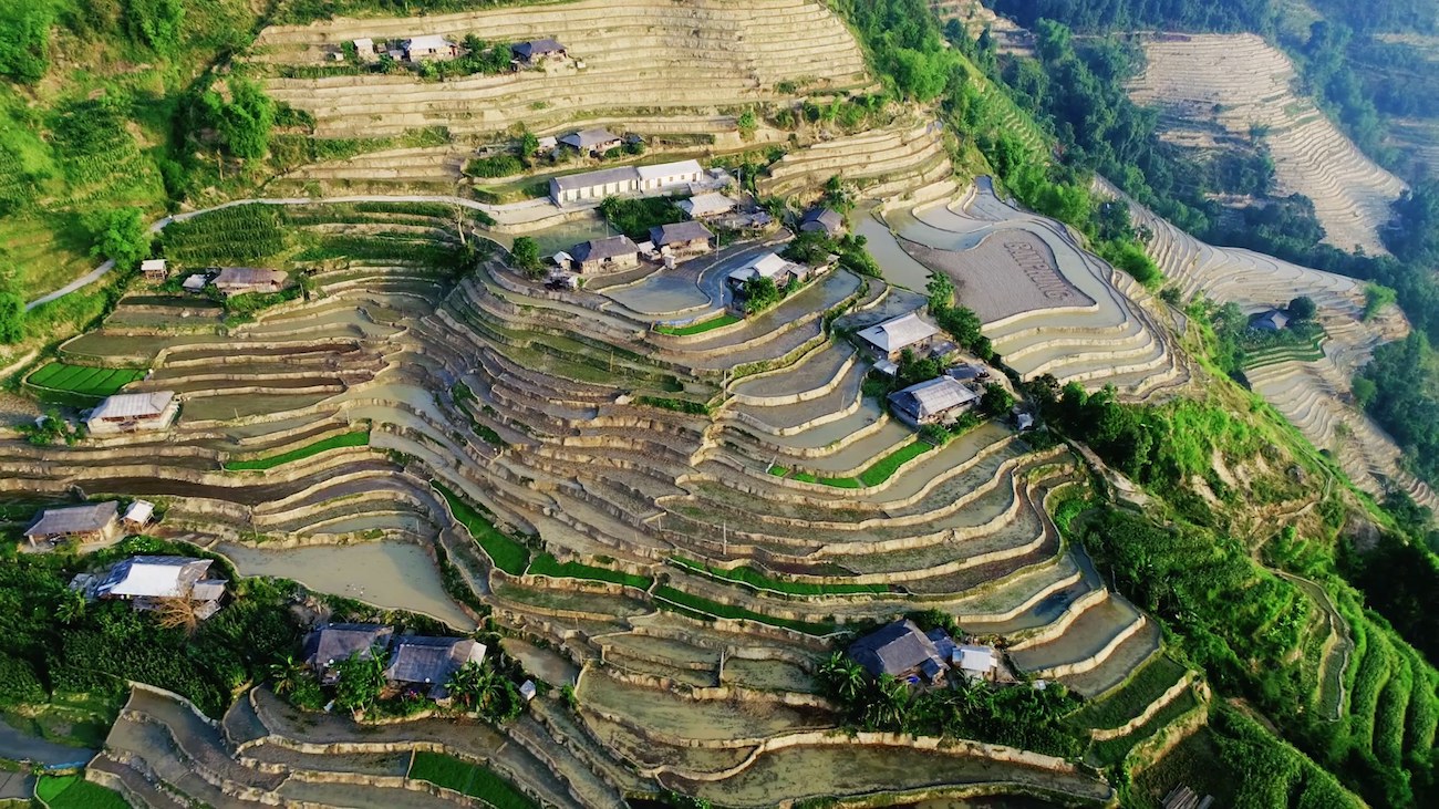 Bản Phùng – Hoàng Su Phì nên thơ mùa lúa chín 4